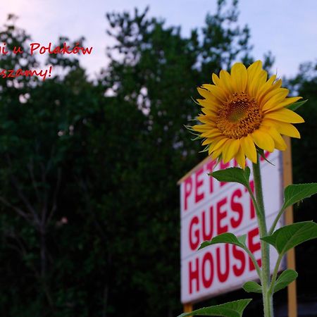 Peter'S Guest House Signagi Exterior foto