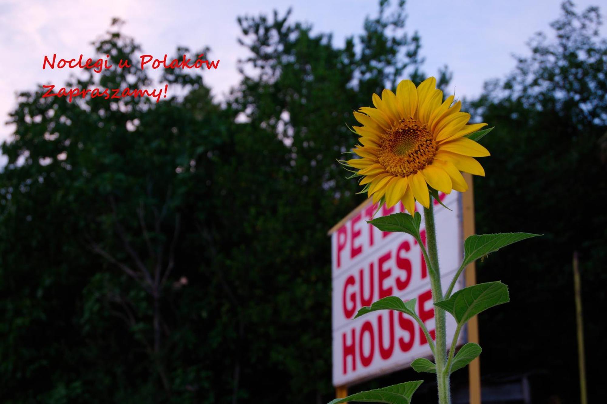 Peter'S Guest House Signagi Exterior foto